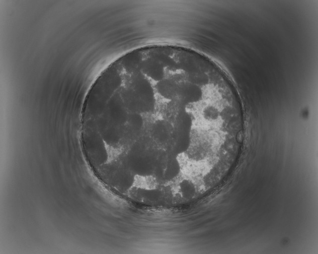 X0000114590895200911301357