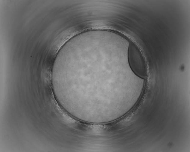 X0000114590897200911301357