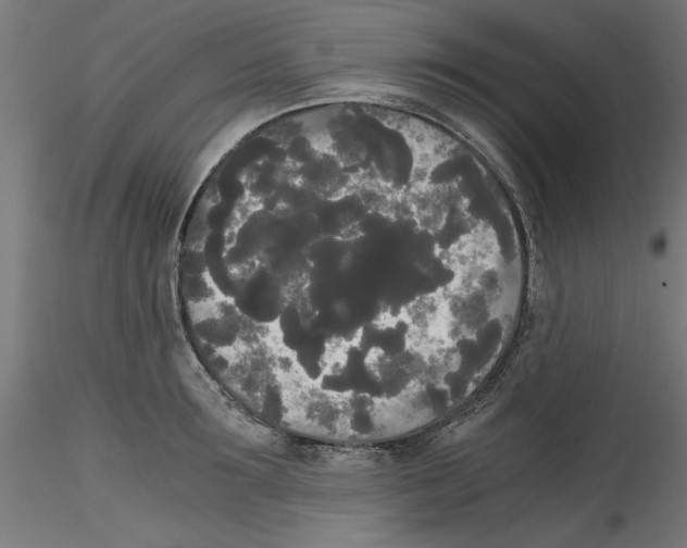 X0000114590899200911301357