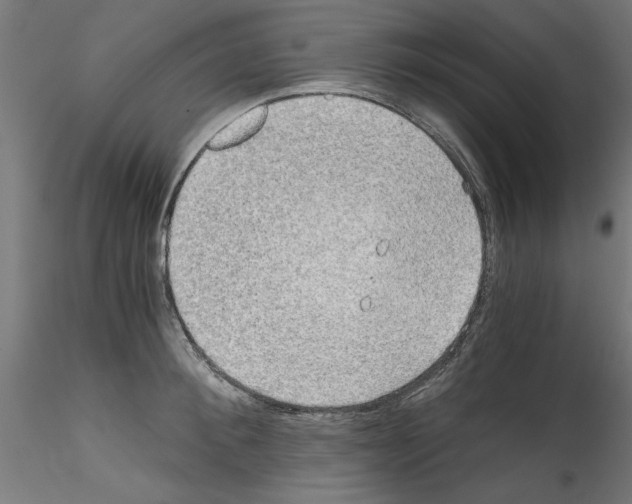 X0000114590900200911301357