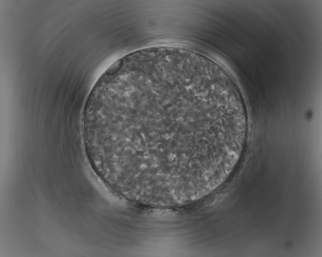 X0000114590907200911301357