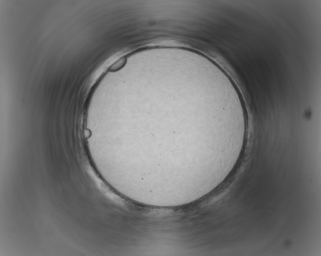 X0000114590909200911301357