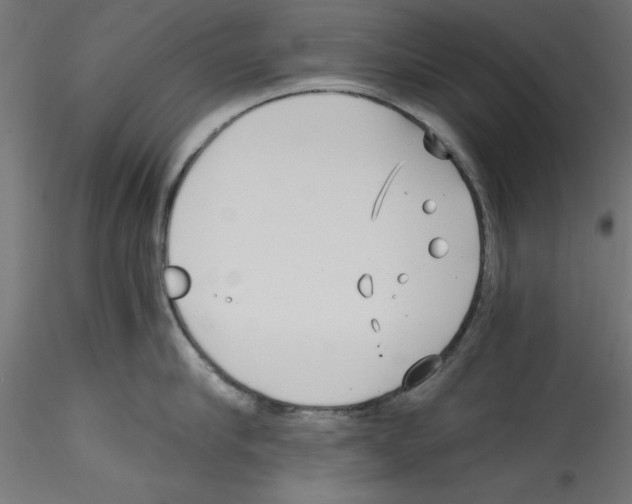 X0000114590910200911301356