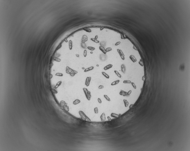 X0000114590911200911301356