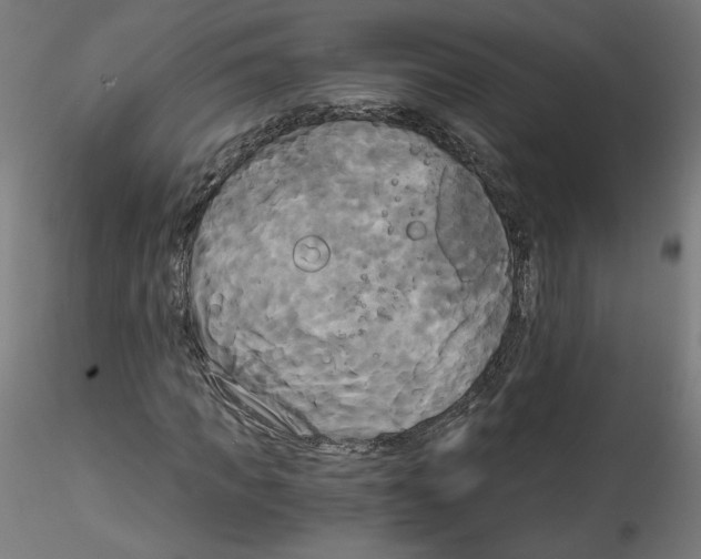 X0000114590917200911301356