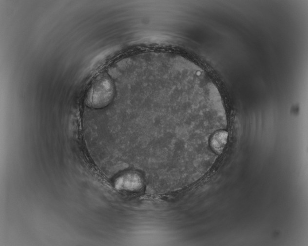 X0000114590918200911301356