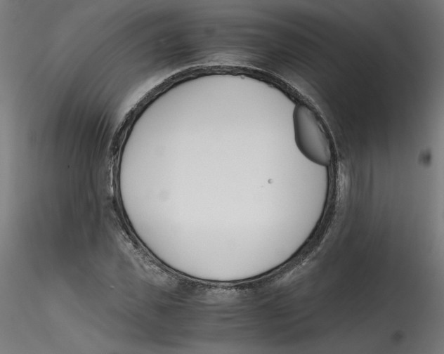 X0000114590925200911301356