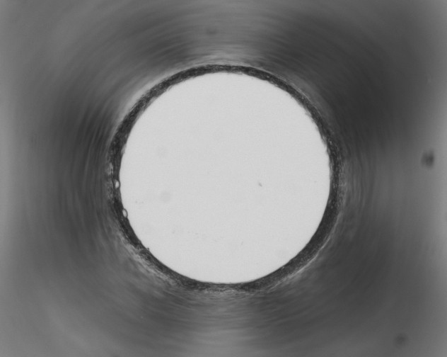 X0000114590926200911301356