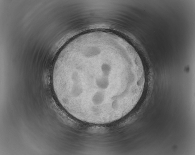 X0000114590929200911301356