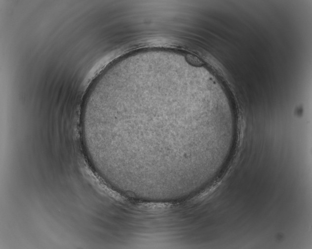 X0000114590930200911301356