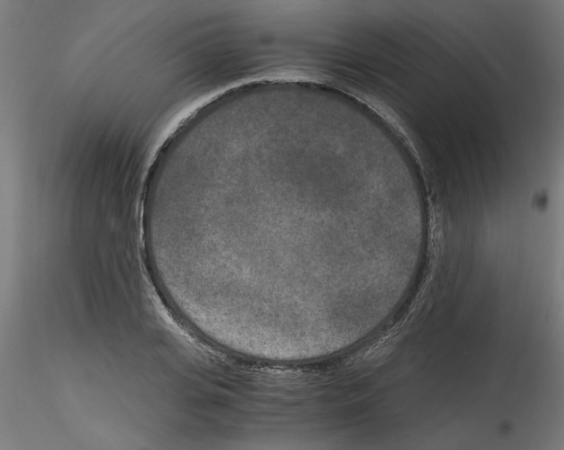 X0000114590935200911301356
