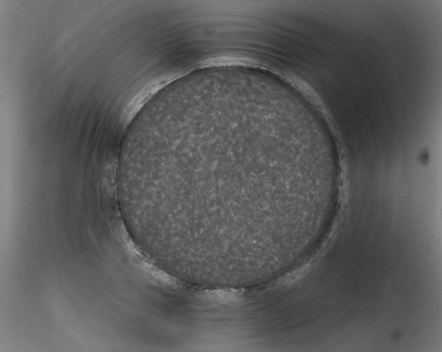 X0000114590937200911301356