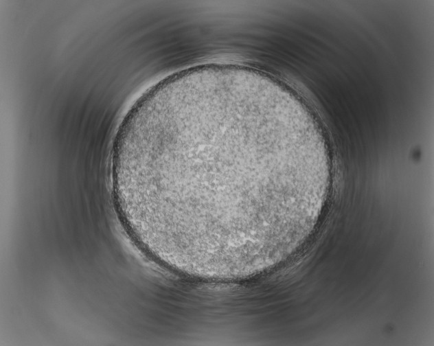 X0000114590939200911301356