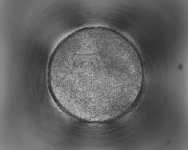 X0000114590943200911301356