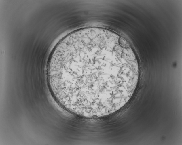 X0000114590947200911301356