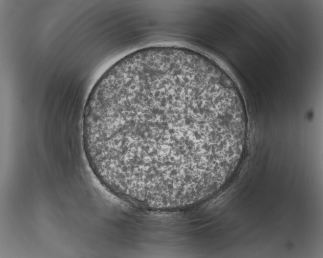 X0000114590951200911301356