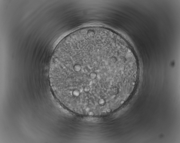 X0000114590953200911301356