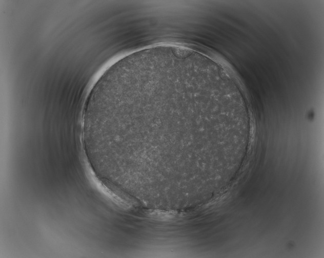 X0000114590955200911301356