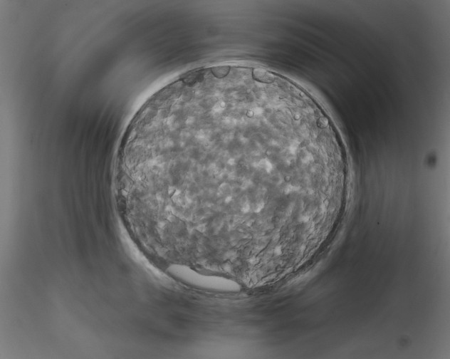 X0000114590957200911301356