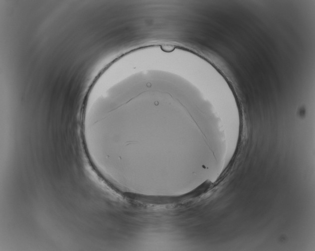 X0000114590958200911301356