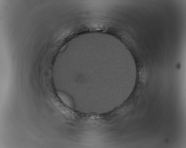 X0000114590961200911301355
