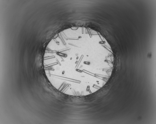 X0000114590962200911301355