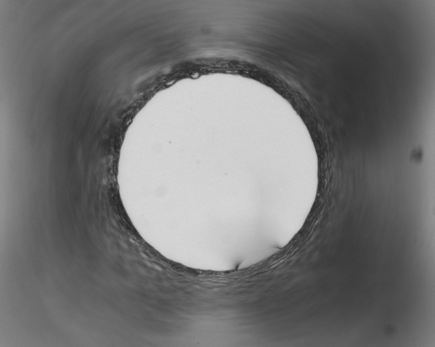 X0000114590965200911301355