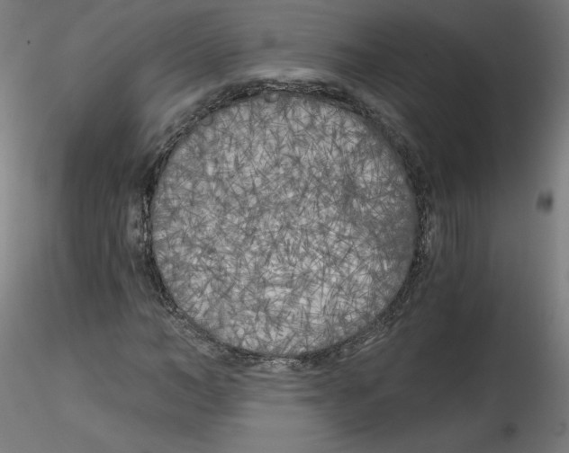 X0000114590966200911301355