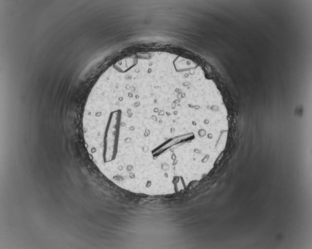 X0000114590967200911301355