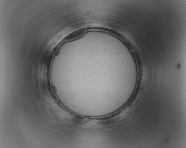 X0000114590969200911301355