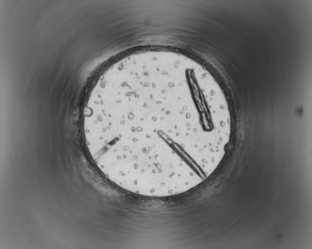 X0000114590971200911301355