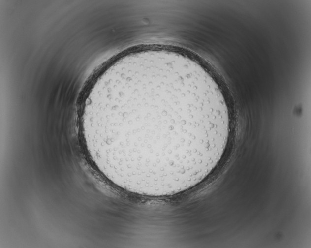 X0000114590974200911301355