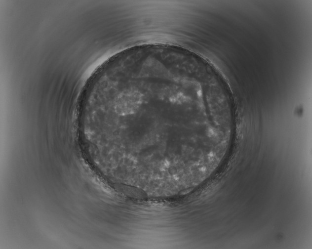 X0000114590975200911301355