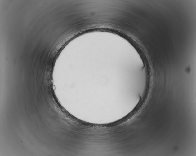 X0000114590977200911301355