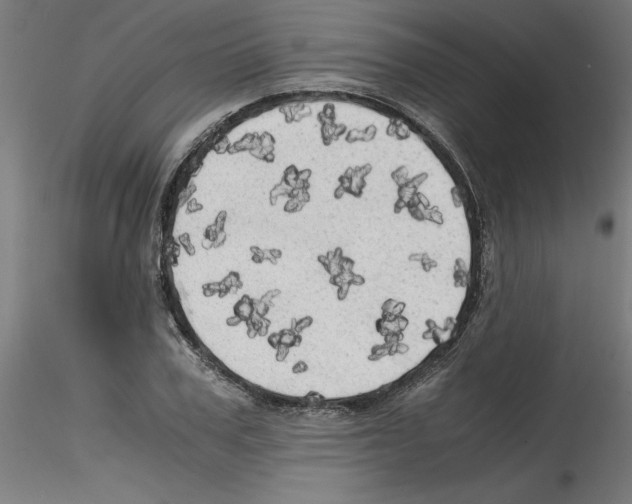X0000114590979200911301355