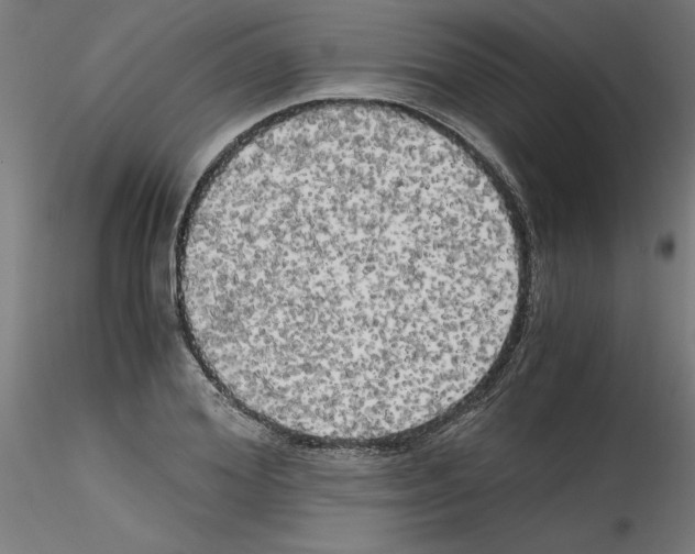 X0000114590980200911301355