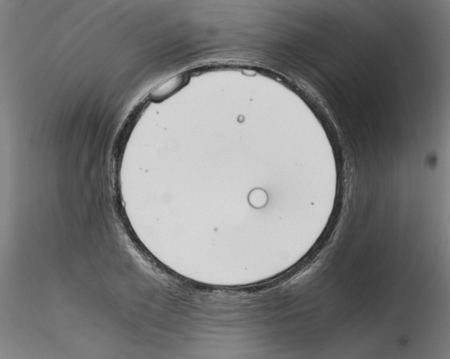 X0000114590981200911301355