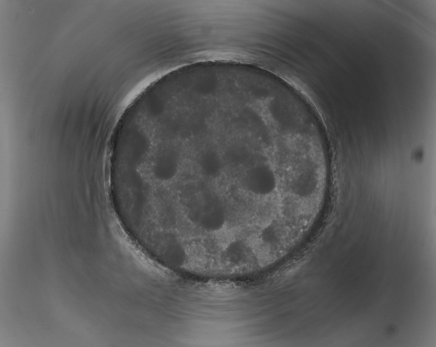X0000114590983200911301355