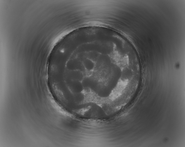 X0000114590987200911301355