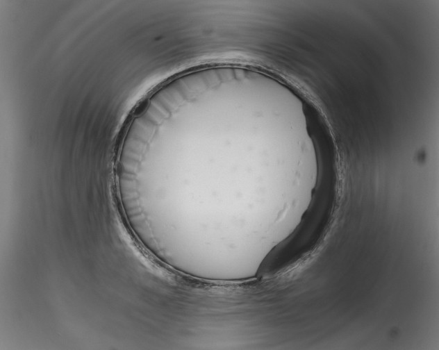 X0000114590989200911301355
