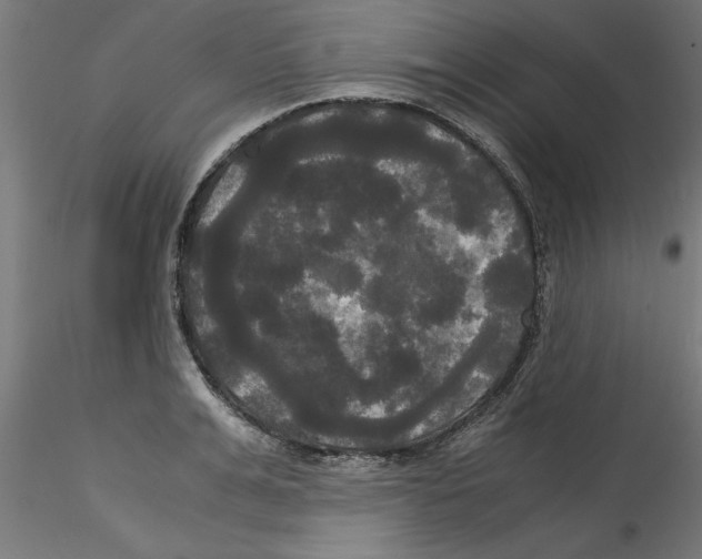 X0000114590991200911301355