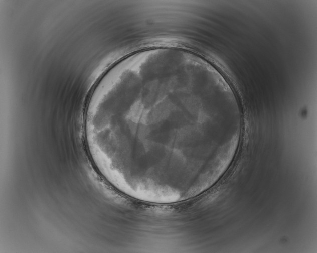X0000114590994200911301355