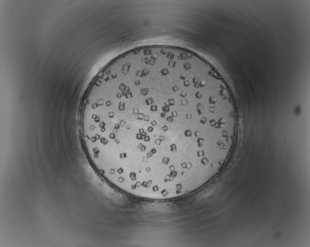 X0000114590998200911301355