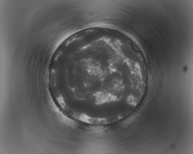 X0000114590999200911301355