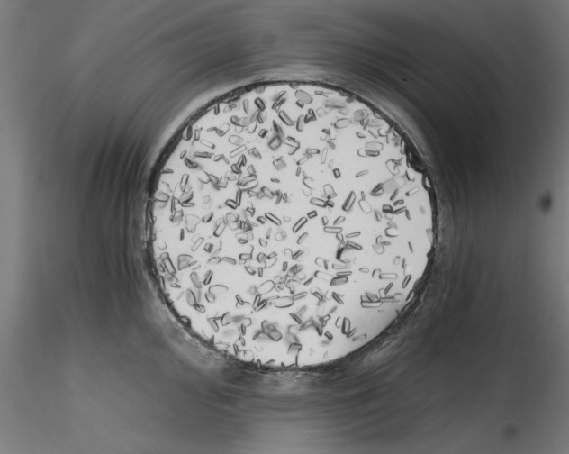 X0000114591000200911301355