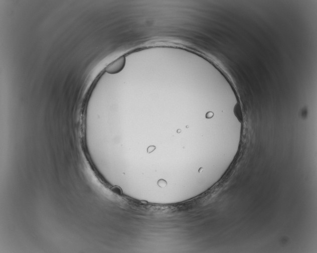 X0000114591003200911301355
