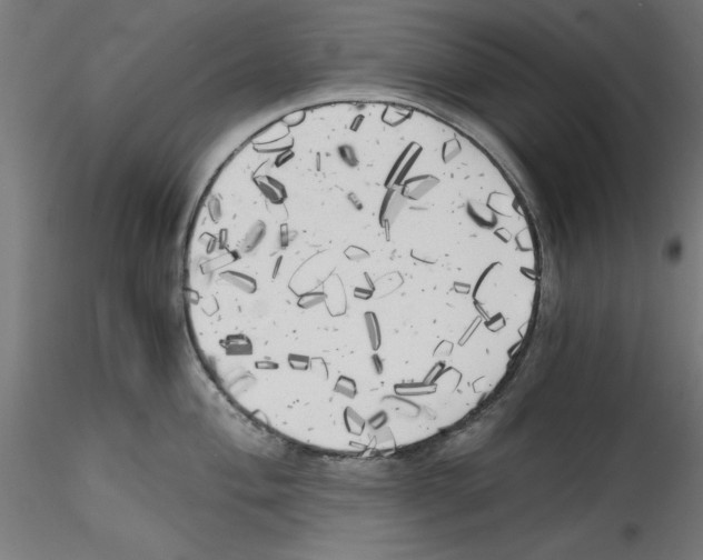 X0000114591004200911301355
