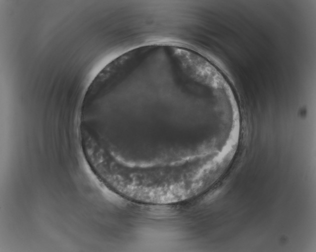 X0000114591007200911301355