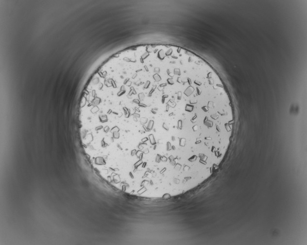 X0000114591008200911301355