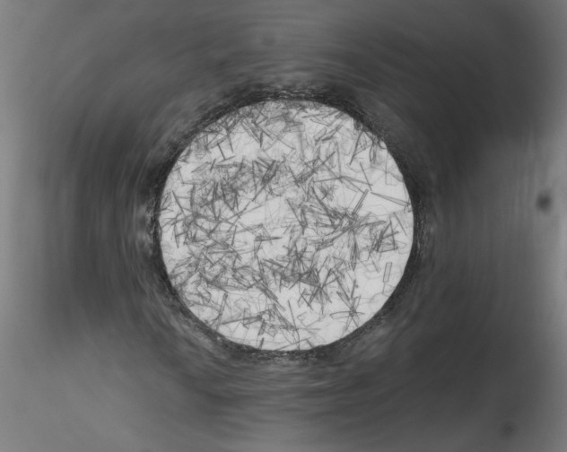 X0000114591010200911301354